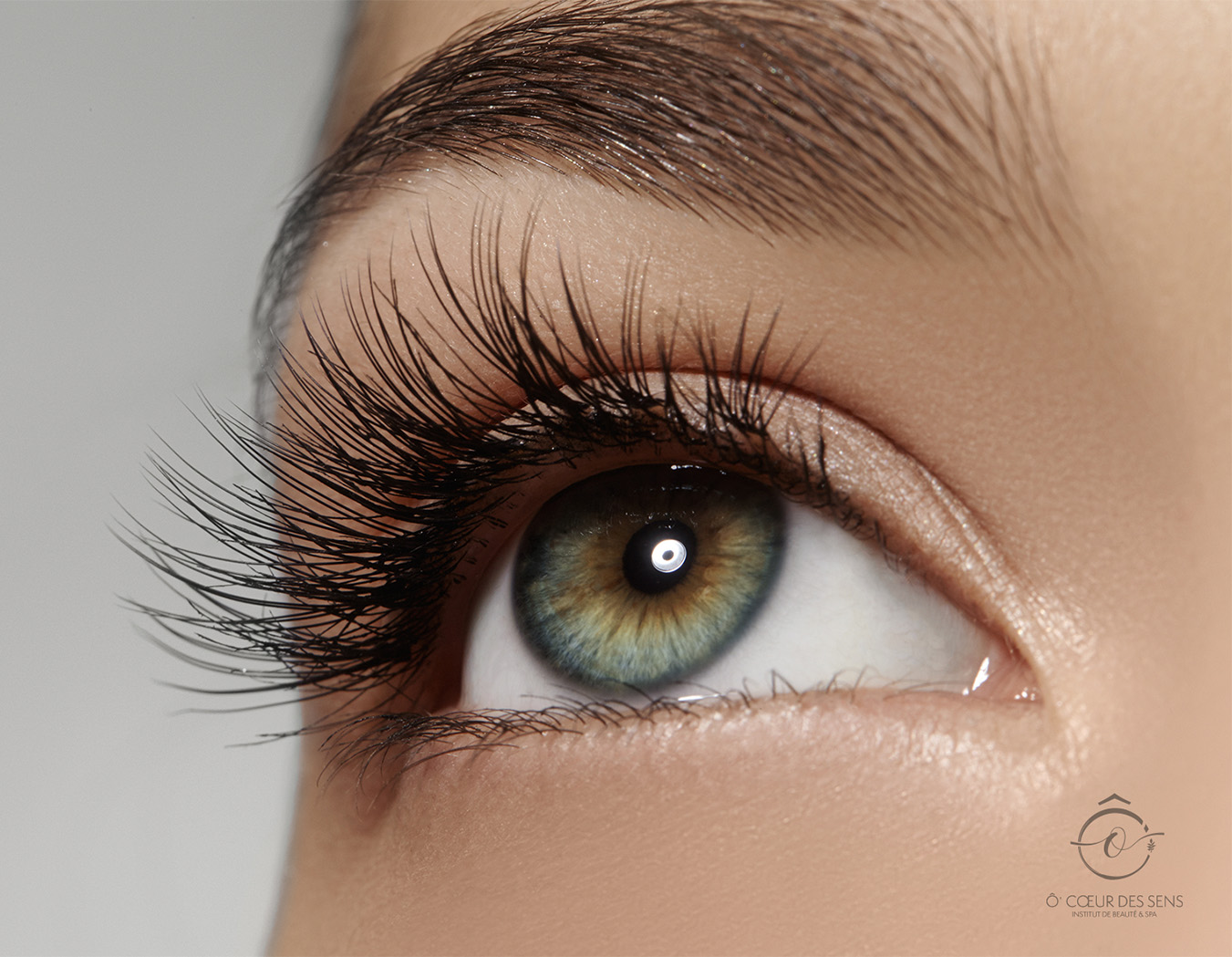 Réhaussement de cils + Teinture - Yumi Lashes – Image 1