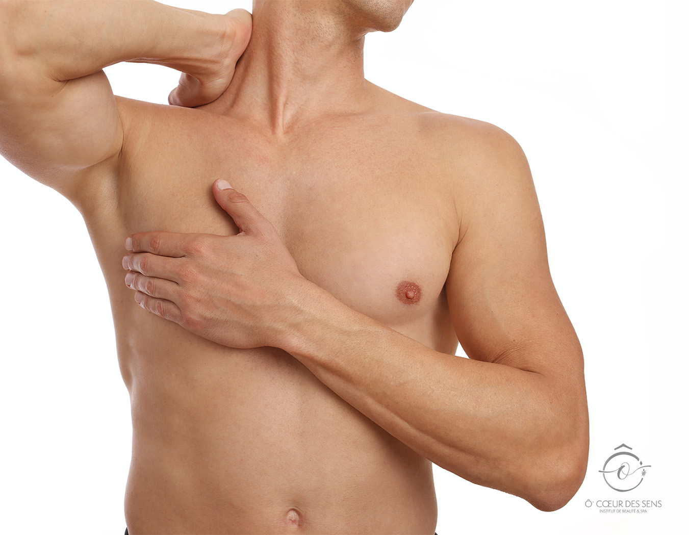 Torse - H – Image 1